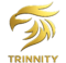 trinnityproperties.com