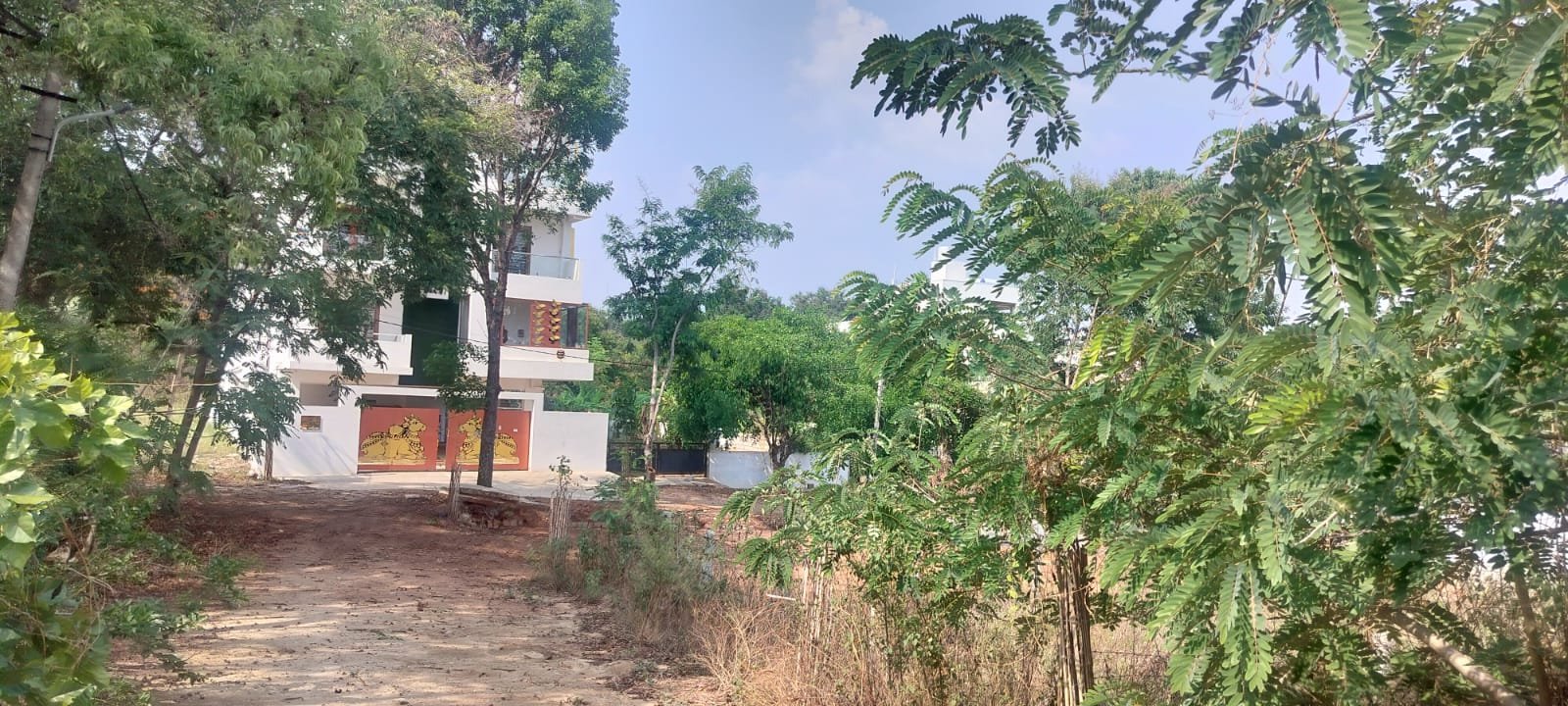 Plot @pattanagere