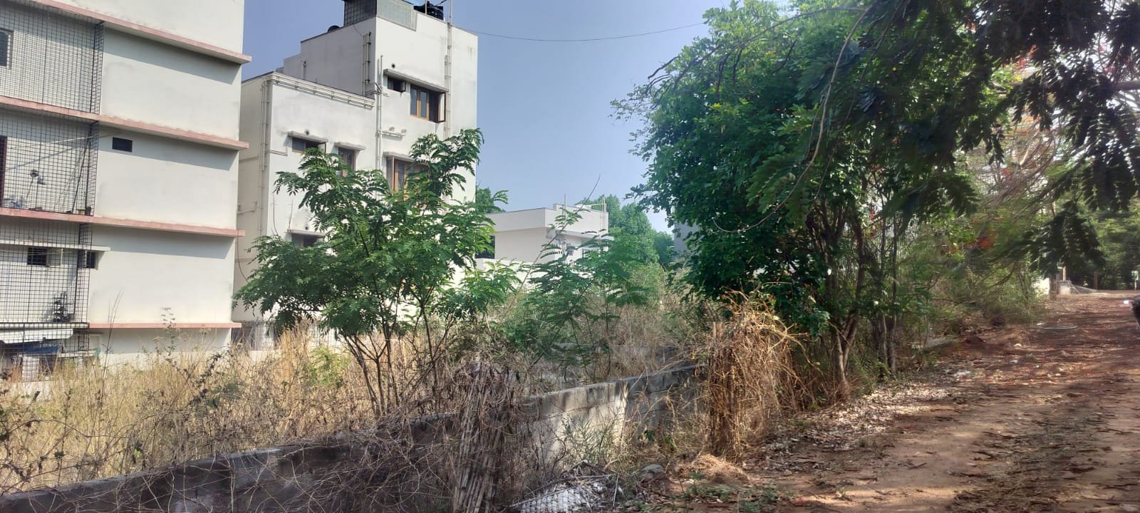 Plot @pattanagere