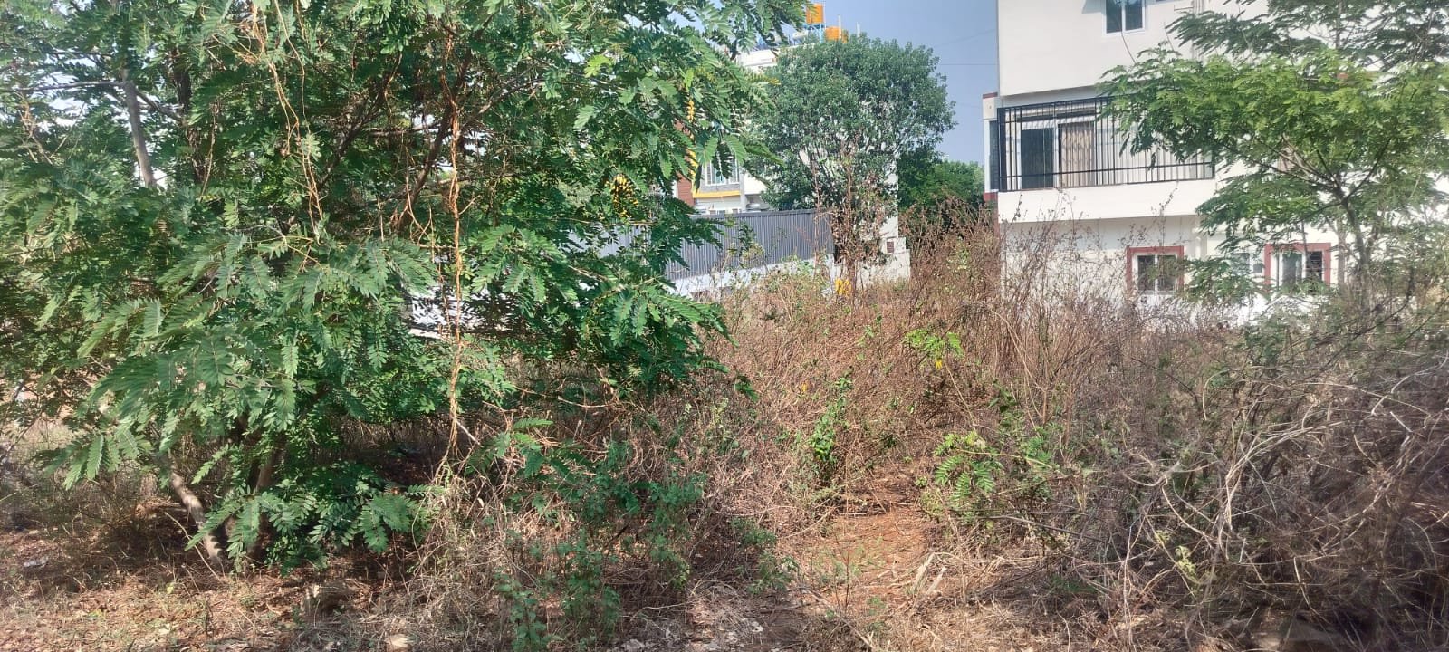 Plot @pattanagere