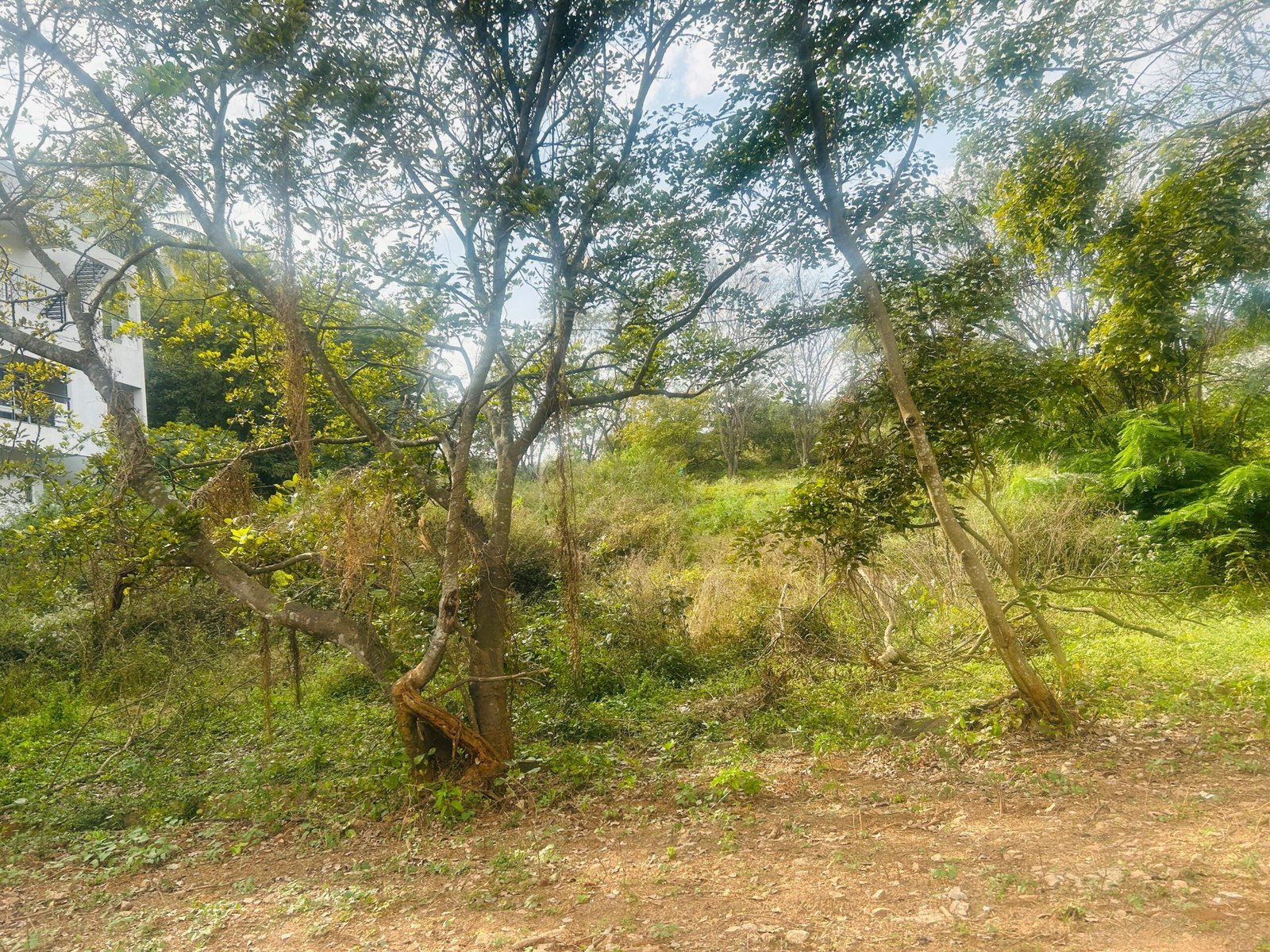 Plot @ Vajrahalli